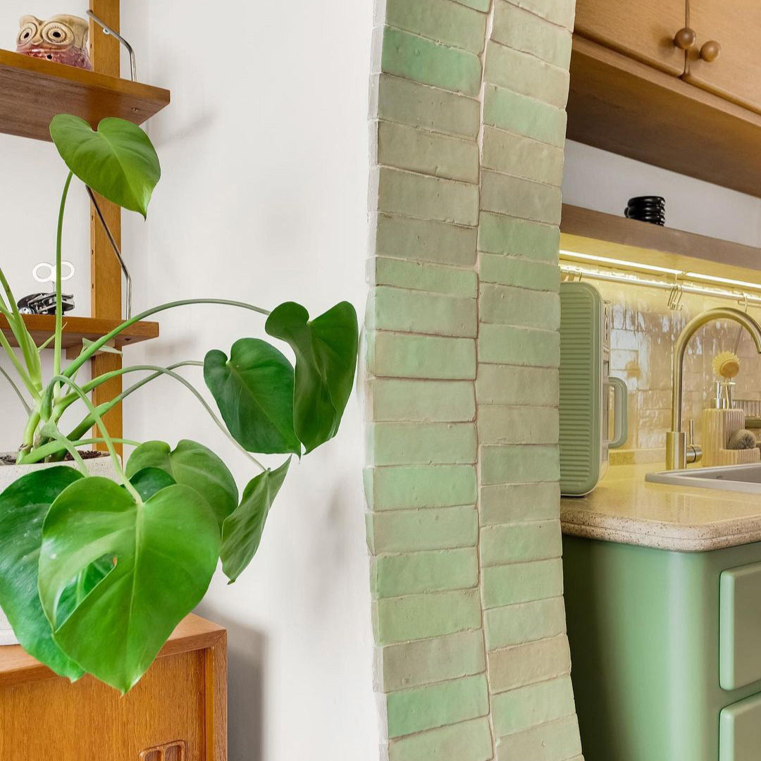Green plant in a kitchen with tiled walls and wooden cabinets.