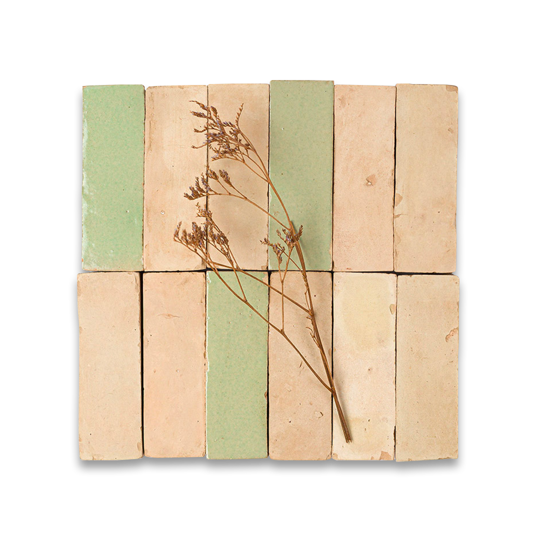 Wooden blocks with a plant stem on a white background