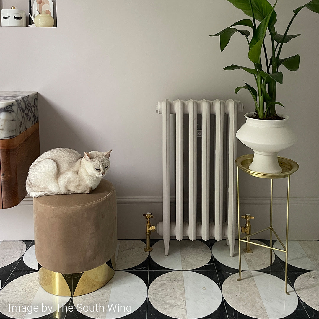 Cat on a brown stool in a room with a radiator, plant, and decorative items.