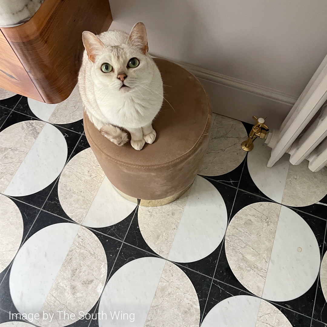 Cat sitting on a brown ottoman with a geometric tile floor in the background