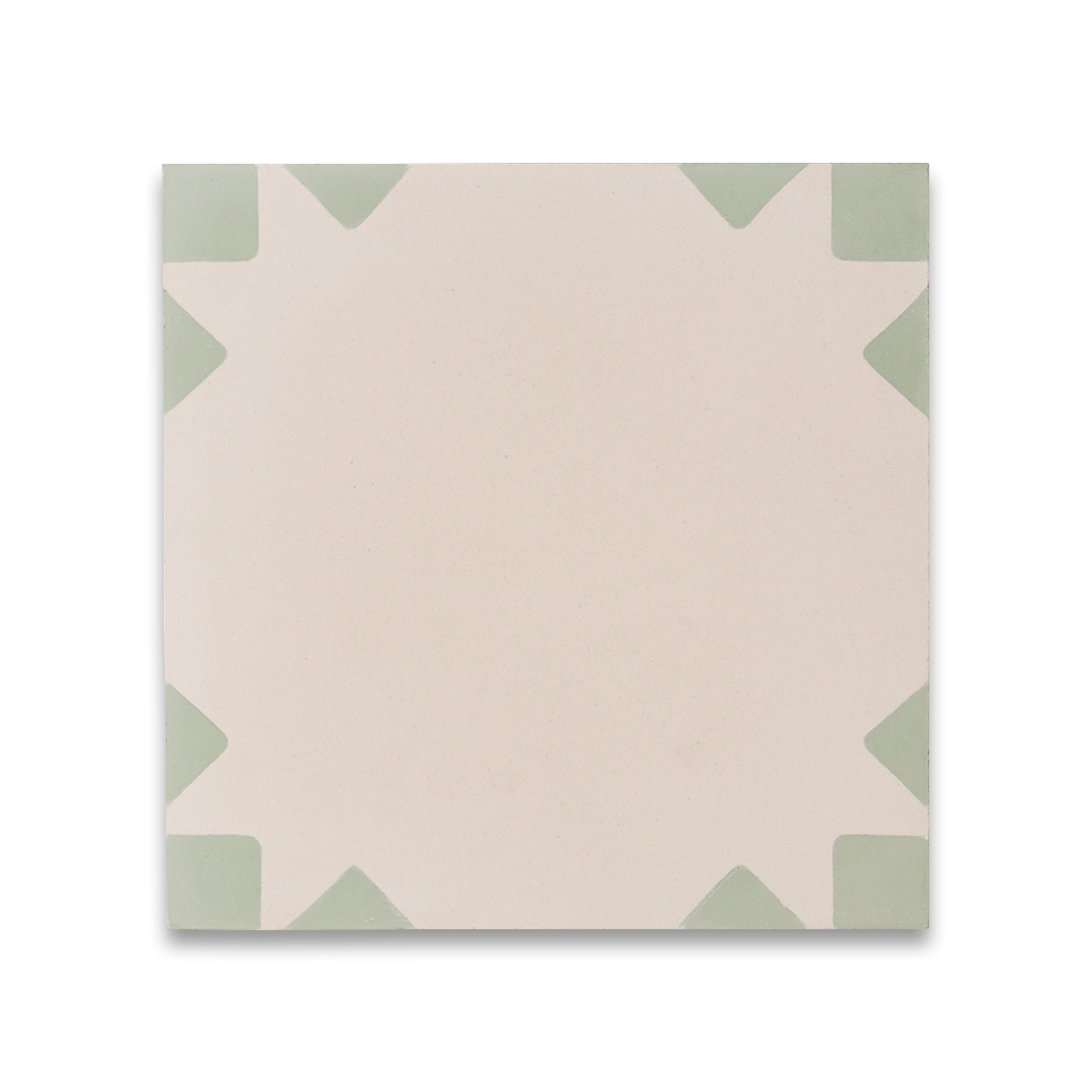 Anthropology Green