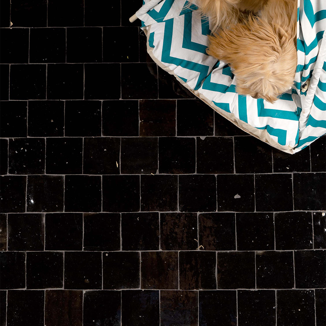Dog lying on a black tiled floor with a patterned pet bed.