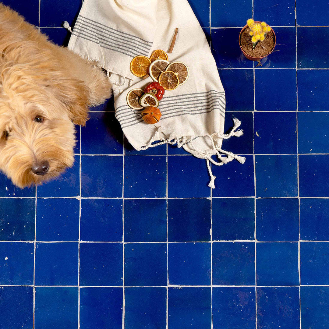 Blue tiled bathroom floor with dog, striped cloth, dried citrus, cinnamon, decorative items, and potted plant arrangement.
