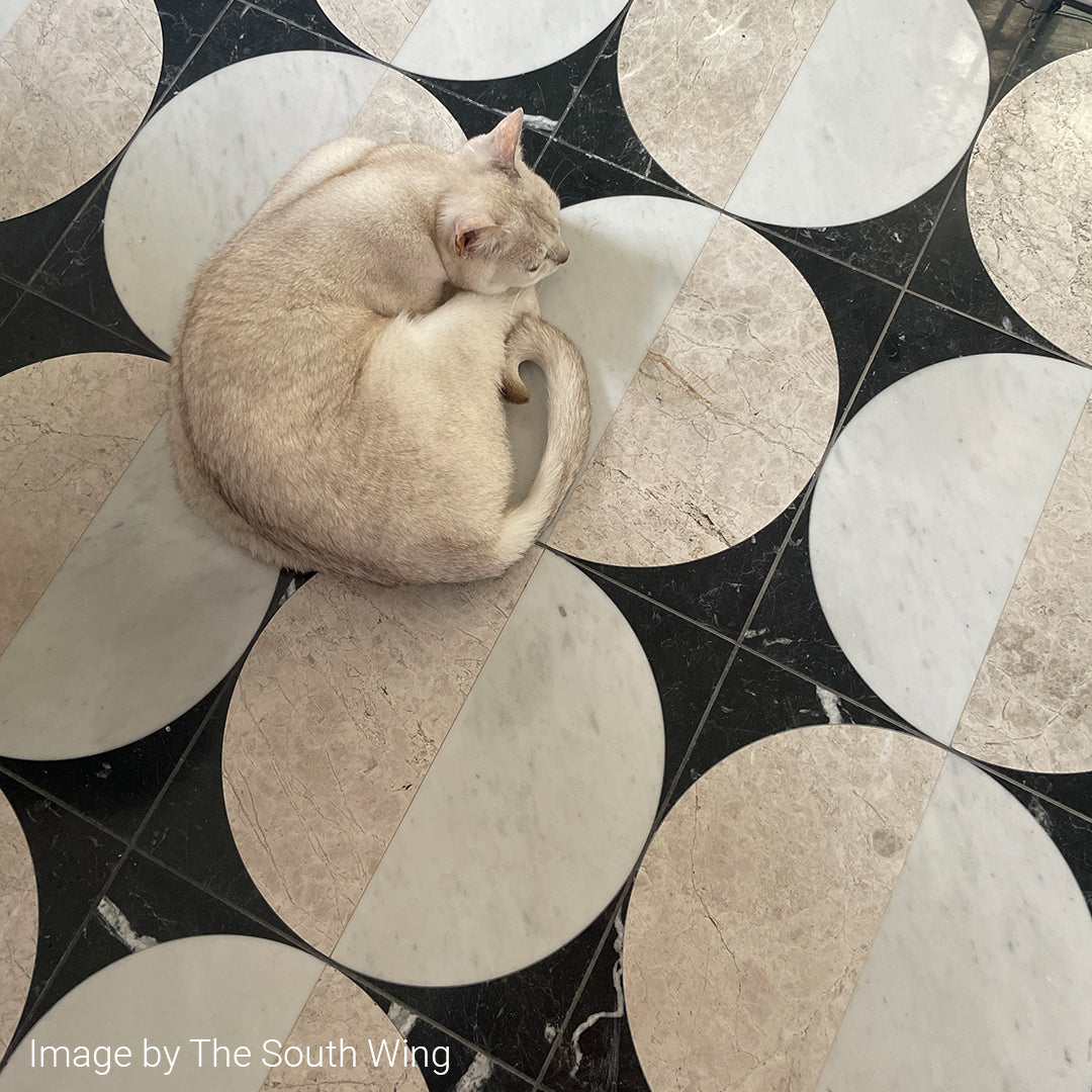 Cat lying on a geometric-patterned floor